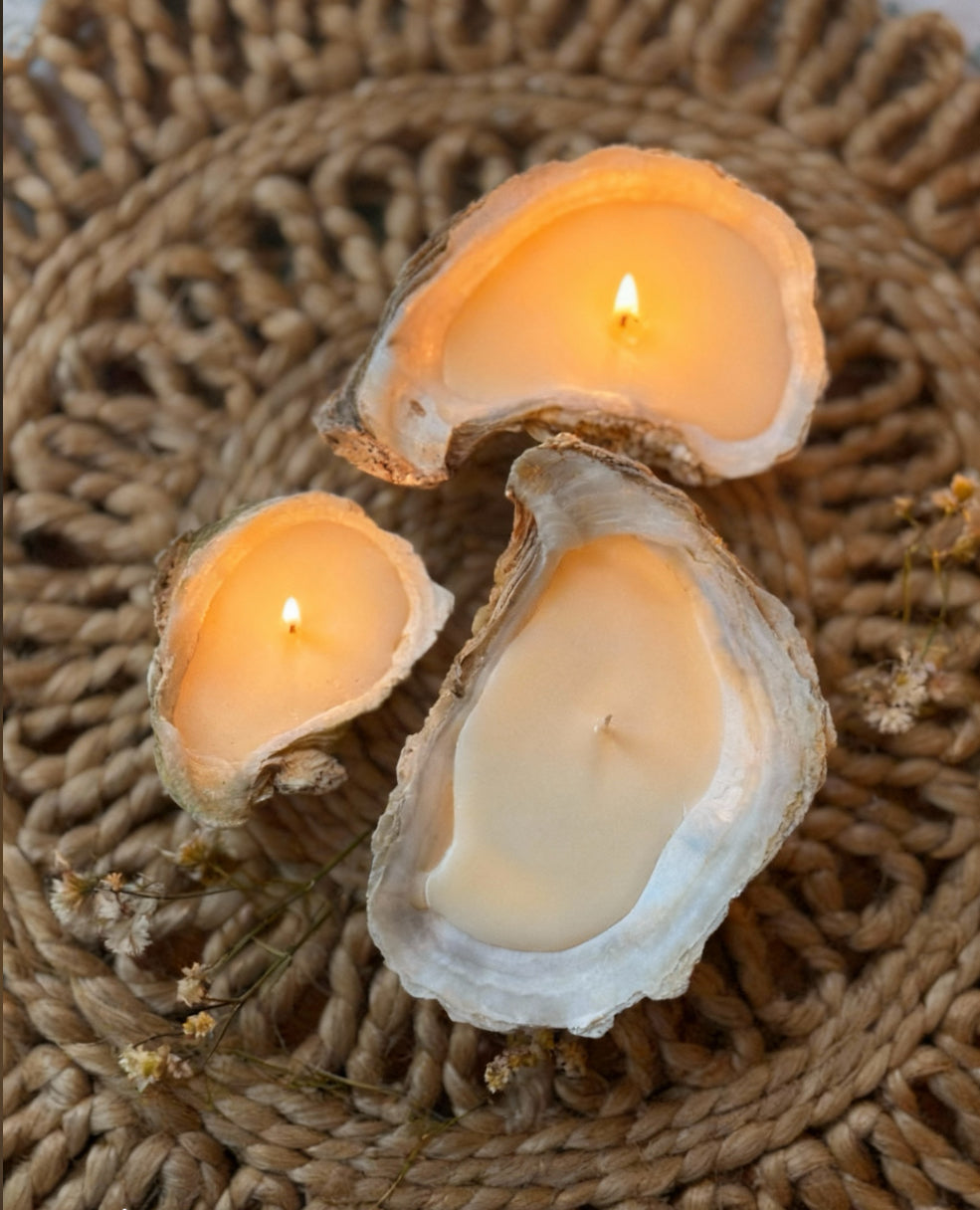 Oyster Candle