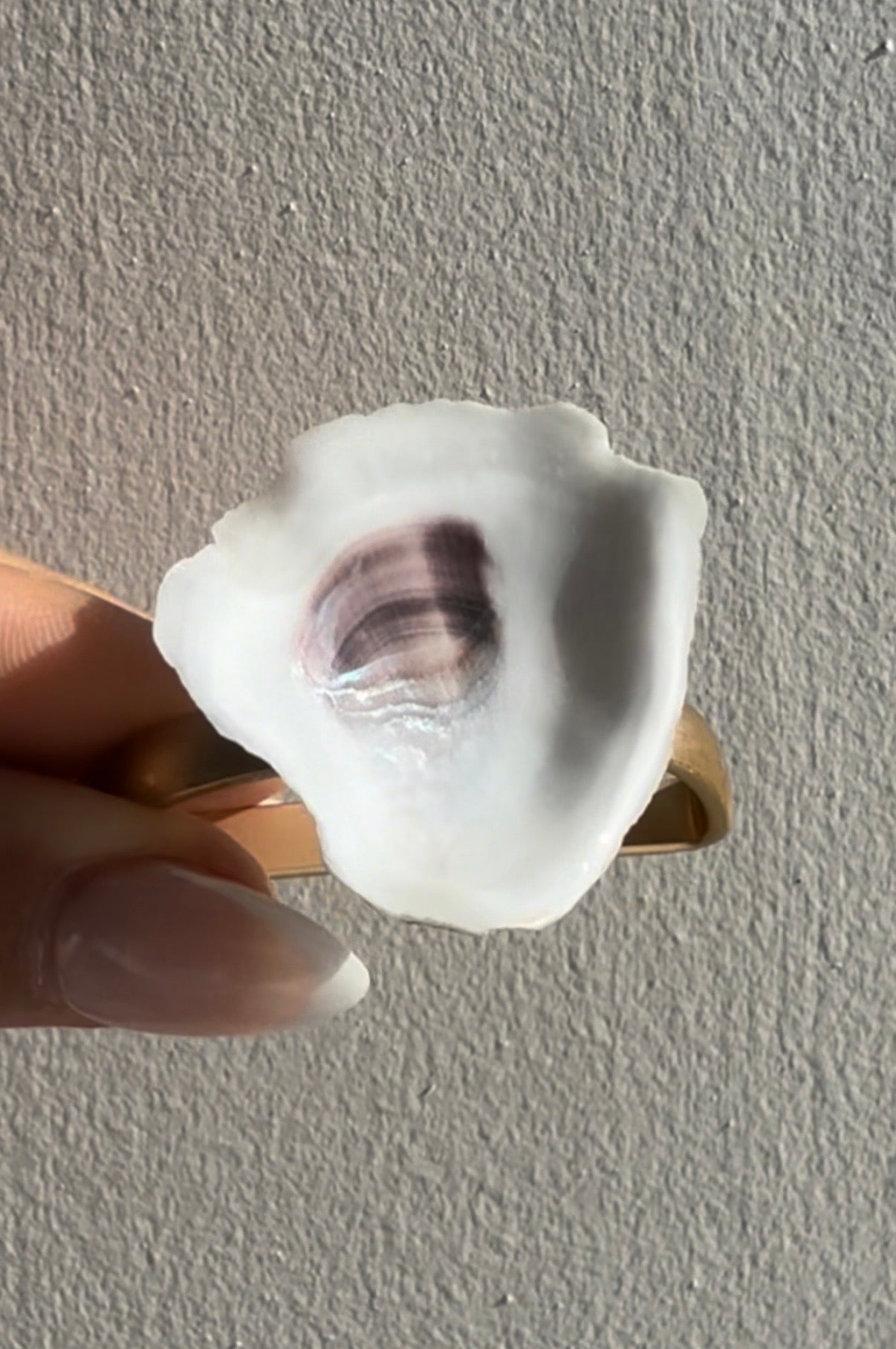 Oyster Napkin Rings