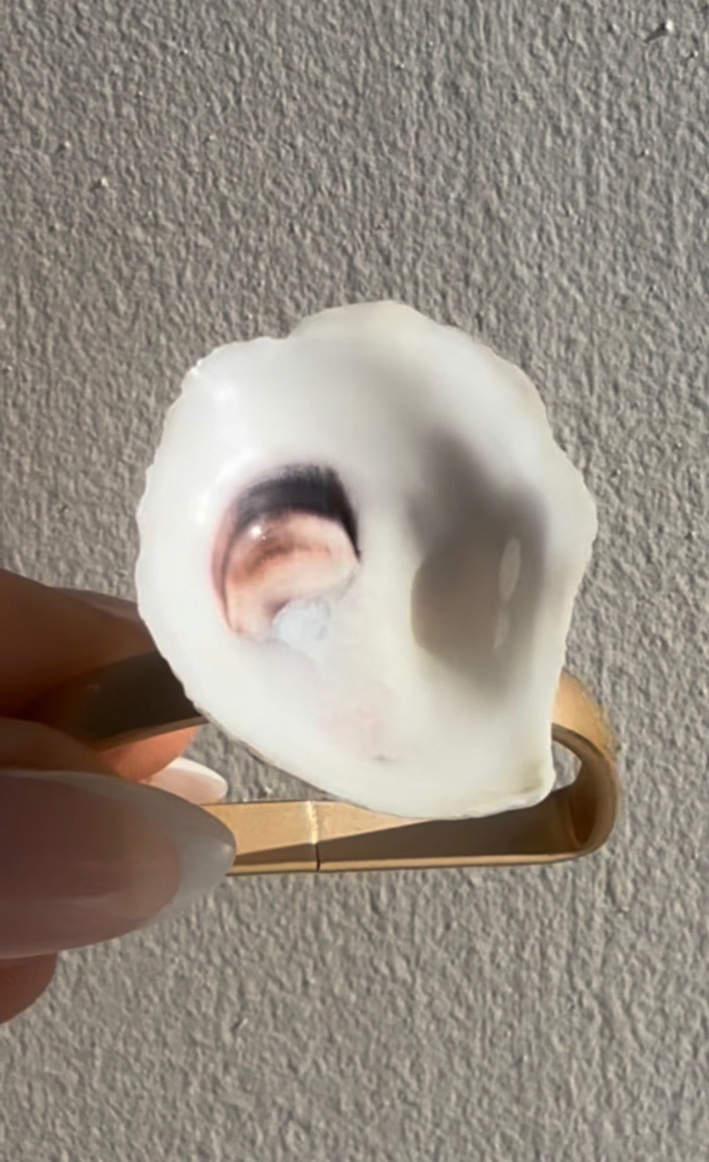 Oyster Napkin Rings
