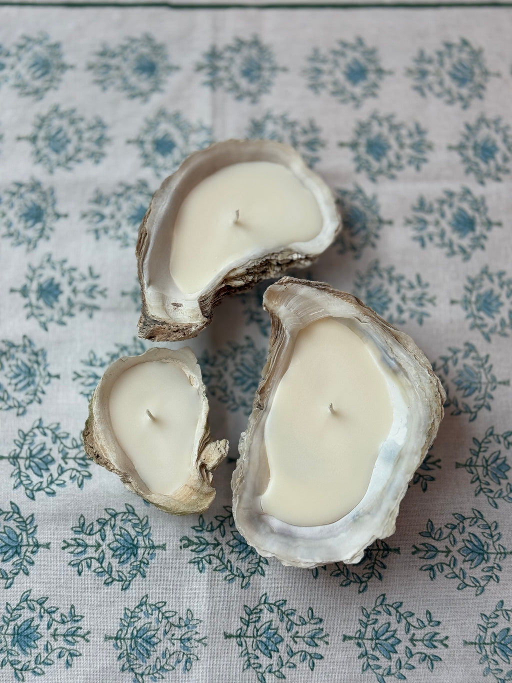 Oyster Candle