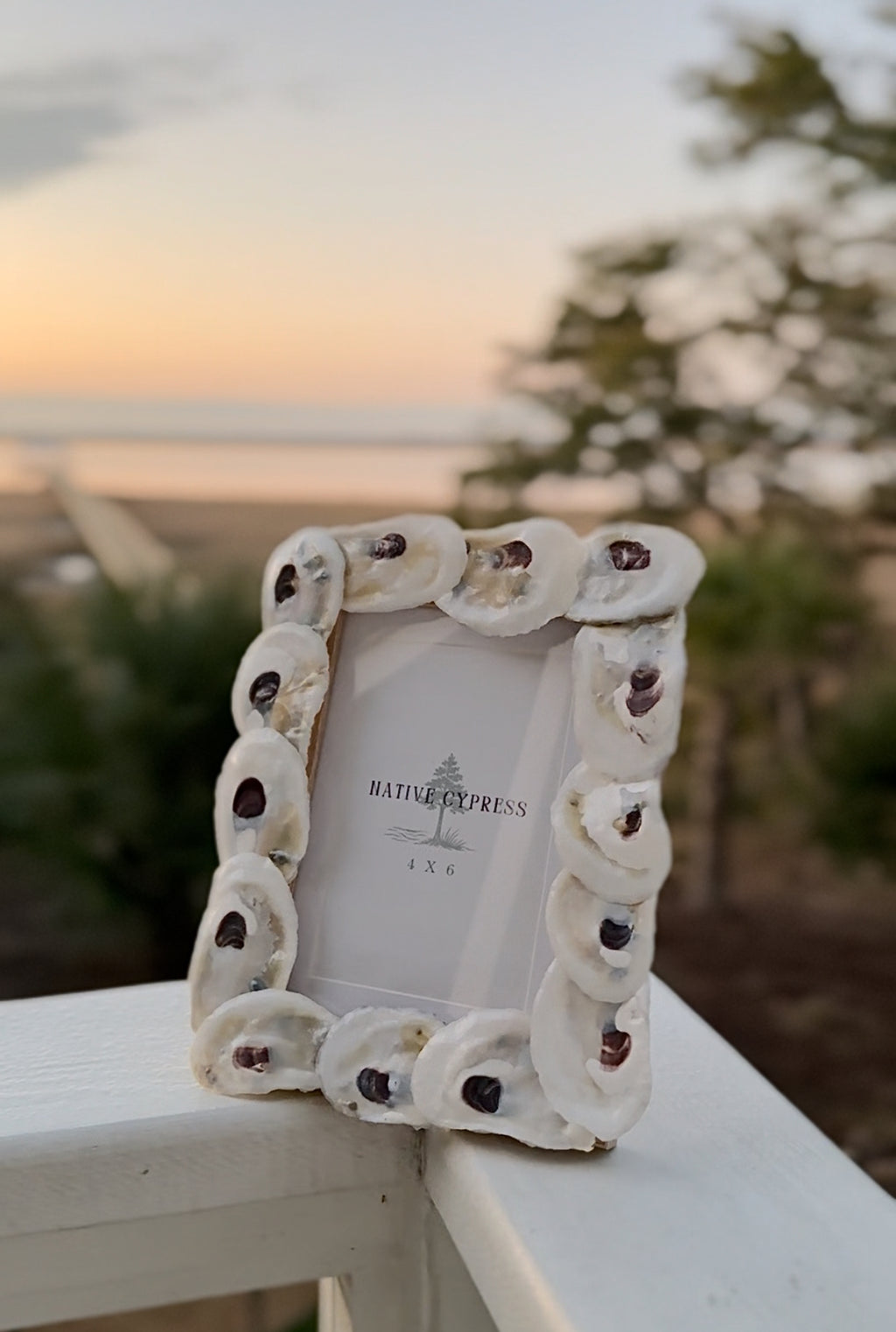 Oyster Picture Frame