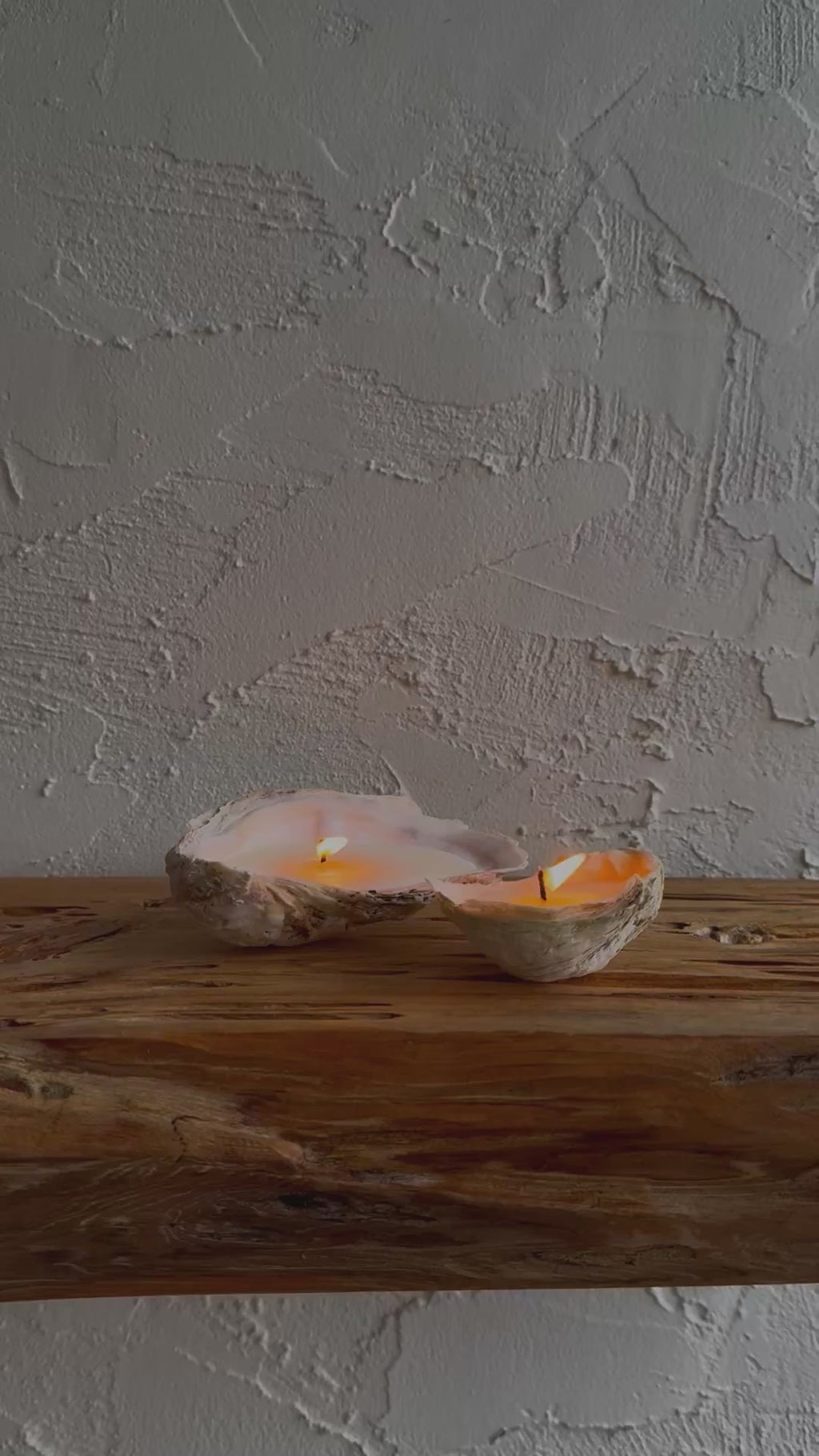 Oyster Candle