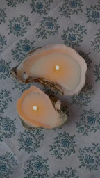 Oyster Candle